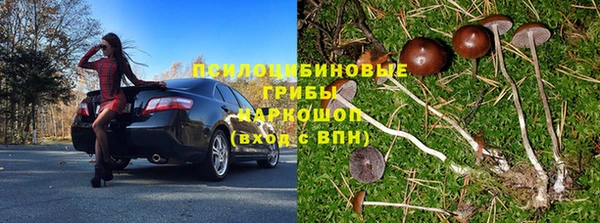 spice Семёнов