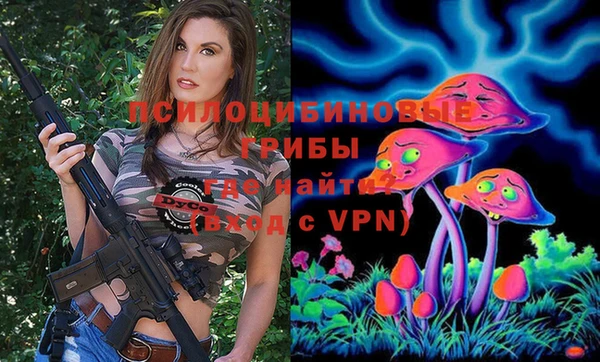 прущие грибы Алзамай