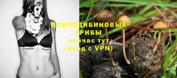 амф Абаза
