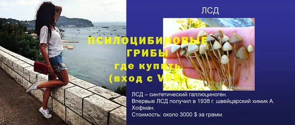 spice Семёнов
